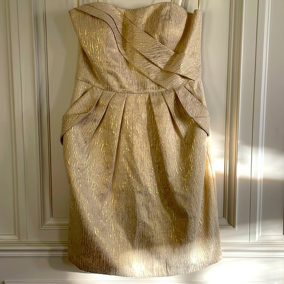 Max and Cleo | Strapless Champagne Gold Dress with Pockets - size 10 - Picture 3 of 9